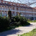 Dunas Noja